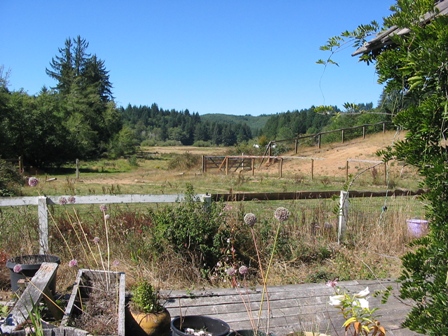 west over arena, pasture and towards the ocean west over arena, pasture and towards the ocean